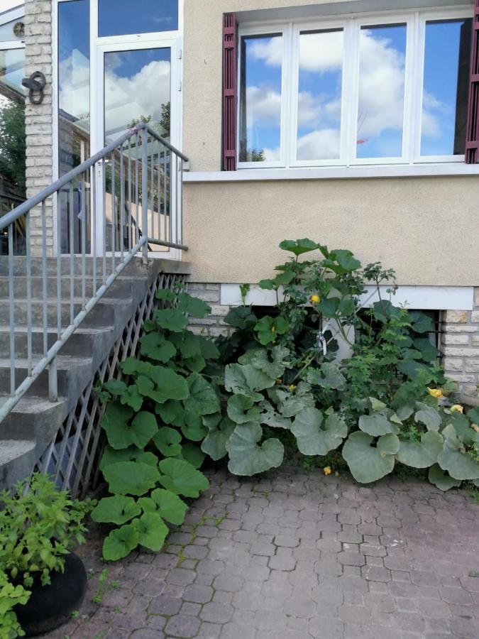 Un Verger Dans La Ville Saint-Parres-aux-Tertres Exteriör bild