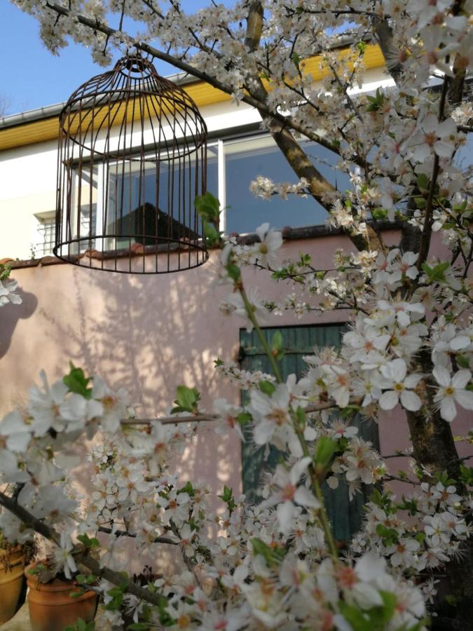 Un Verger Dans La Ville Saint-Parres-aux-Tertres Exteriör bild