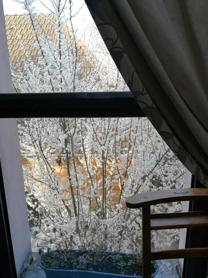 Un Verger Dans La Ville Saint-Parres-aux-Tertres Exteriör bild
